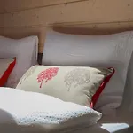 Chateau Saas Fee