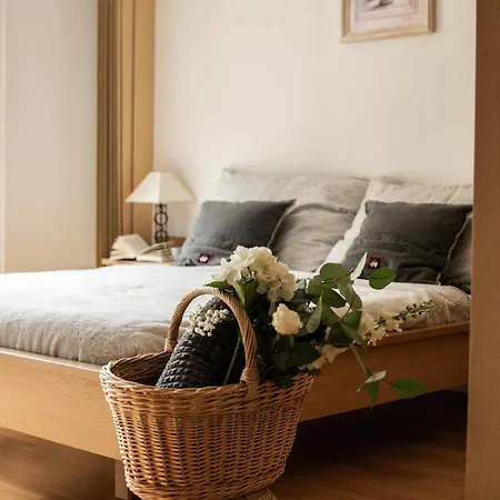 Chateau Lejlighed Saas Fee